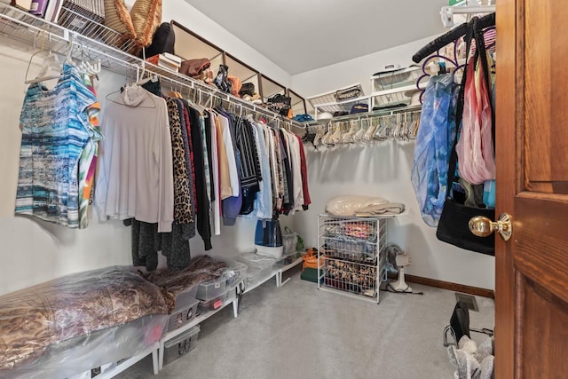 1450 Anvil Ct, Bartlett, IL 60103 - view of spacious closet