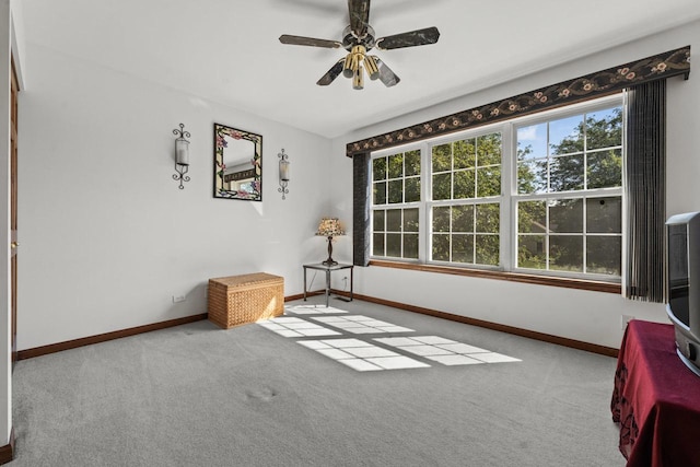 1450 Anvil Ct, Bartlett, IL 60103 - unfurnished bedroom with carpet floors