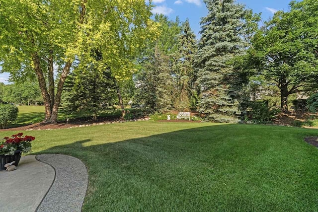 1450 Anvil Ct, Bartlett, IL 60103 - view of green lawn