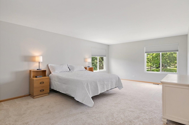 691 Glen Cove Ln, Pingree Grove, IL 60140 - bedroom featuring light colored carpet