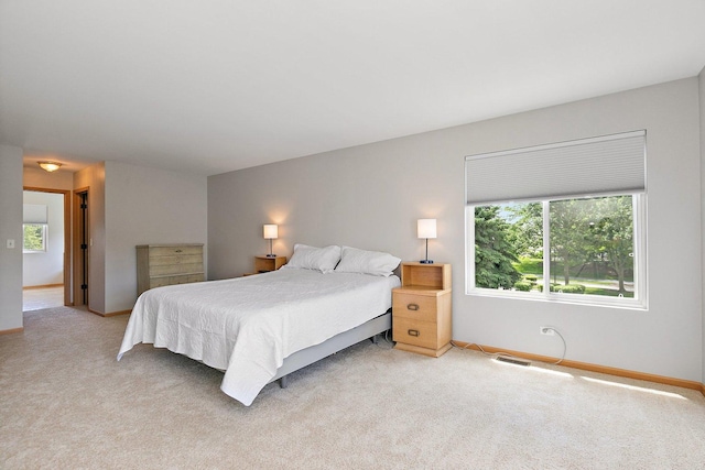 691 Glen Cove Ln, Pingree Grove, IL 60140 - bedroom featuring multiple windows and light carpet