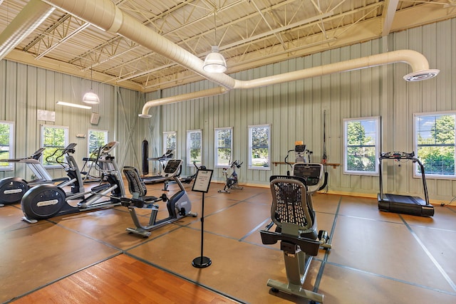 691 Glen Cove Ln, Pingree Grove, IL 60140 - gym with plenty of natural light