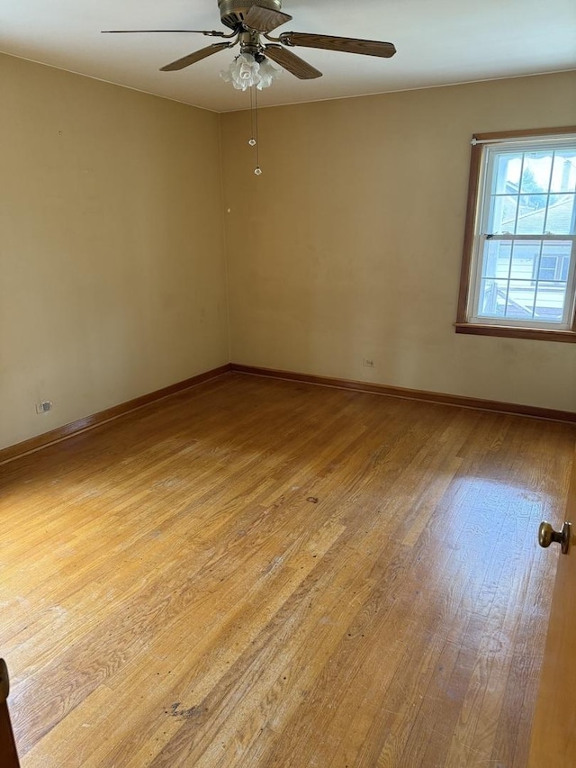 7230 S Avers Ave, Chicago, IL 60629 - photo 10