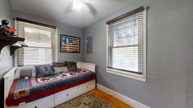 1713 Glenn Park Dr, Champaign, IL 61821 - bedroom featuring electric panel, light wood-type flooring, multiple windows, and a ceiling fan
