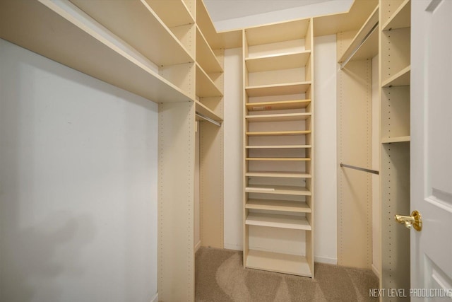 1348 Averill Cir, Geneva, IL 60134 - spacious closet with carpet floors
