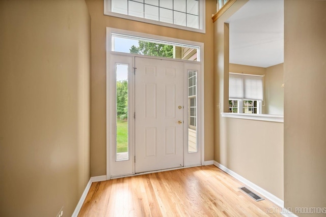 1348 Averill Cir, Geneva, IL 60134 - entryway with healthy amount of natural light and wood finished floors