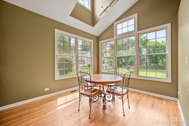1348 Averill Cir, Geneva, IL 60134 - dining area with healthy amount of natural light, light wood finished floors, and high vaulted ceiling