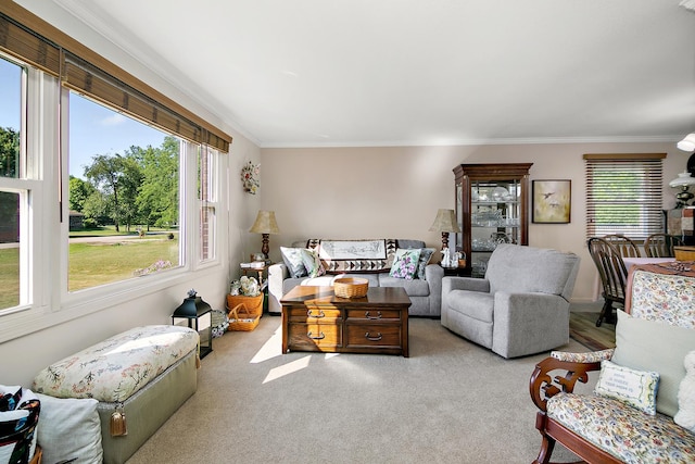 1005 Paul Dr, Saint Anne, IL 60964 - photo 3