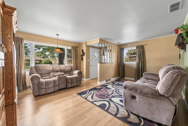 6411 W 88th St, Oak Lawn, IL 60453 - living room with healthy amount of natural light and light wood-type flooring