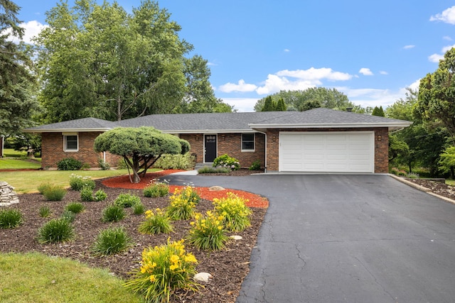 24935 S Ridge Rd, Elwood, IL 60421 - ranch-style home featuring an attached garage, asphalt driveway, brick siding, and a front yard