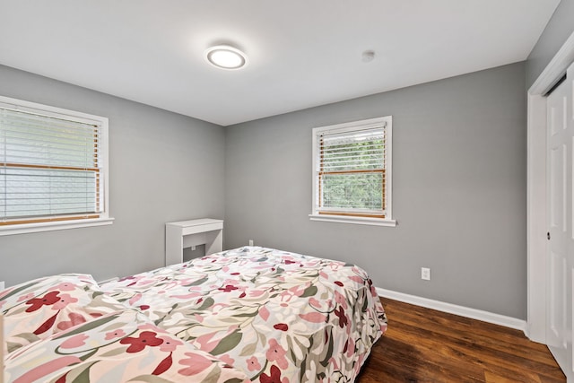 24935 S Ridge Rd, Elwood, IL 60421 - bedroom featuring a closet and wood finished floors