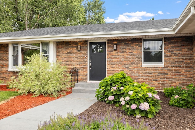 24935 S Ridge Rd, Elwood, IL 60421 - view of exterior entry with brick siding and roof with shingles