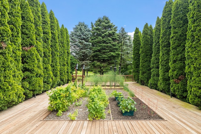 24935 S Ridge Rd, Elwood, IL 60421 - wooden deck featuring a vegetable garden and a forest view