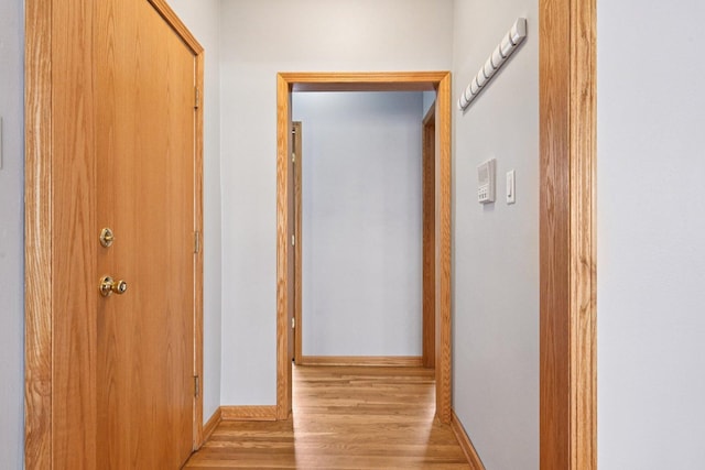 245 W Washington Blvd Unit 2B, Oak Park, IL 60302 - hallway with wood finished floors and baseboards