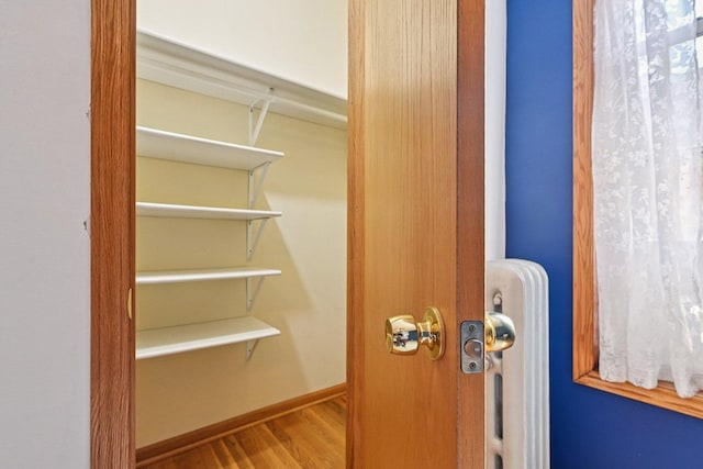 245 W Washington Blvd Unit 2B, Oak Park, IL 60302 - pantry featuring radiator heating unit