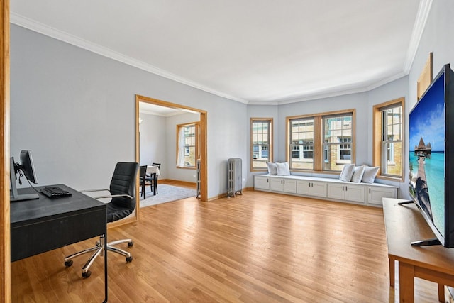 245 W Washington Blvd Unit 2B, Oak Park, IL 60302 - office with radiator heating unit, light wood-type flooring, and crown molding