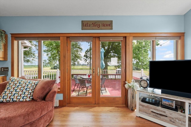 887 N 1100e Rd, Melvin, IL 60952 - doorway featuring light wood-style floors, plenty of natural light, and french doors