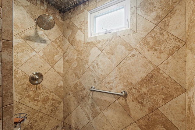 887 N 1100e Rd, Melvin, IL 60952 - bathroom view of a tile shower