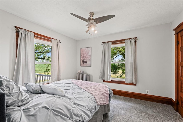 887 N 1100e Rd, Melvin, IL 60952 - carpeted bedroom with radiator heating unit, multiple windows, and a ceiling fan