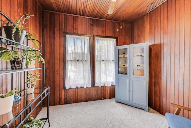3740 N Whipple St, Chicago, IL 60618 - entrance foyer with healthy amount of natural light, wood walls, carpet, and wooden ceiling