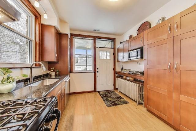 3740 N Whipple St, Chicago, IL 60618 - kitchen featuring stainless steel appliances, radiator, light wood-style floors, and plenty of natural light