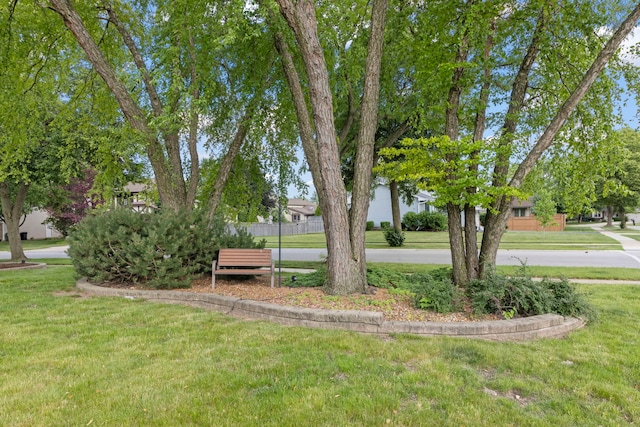 787 Bluejay Cir, Elk Grove Village, IL 60007 - view of yard