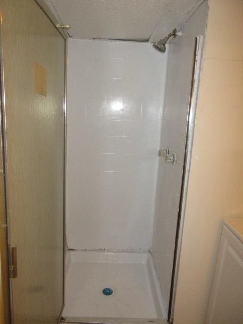 7522 S Merrill Ave, Chicago, IL 60649 - bathroom featuring a shower stall and vanity