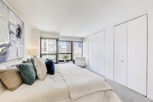30 E Huron St Unit 2602, Chicago, IL 60611 - bedroom featuring multiple closets and carpet