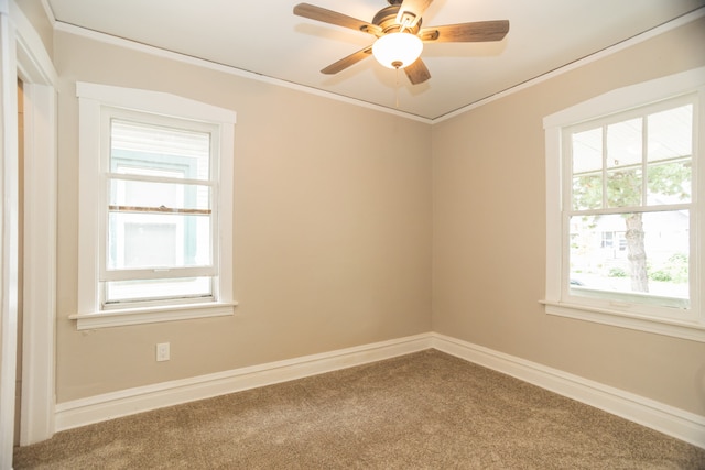 1103 Circle Ave, Forest Park, IL 60130 - empty room featuring carpet, crown molding, and a ceiling fan