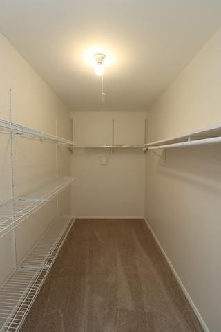 815 Grove Dr Unit 112, Buffalo Grove, IL 60089 - walk in closet with carpet