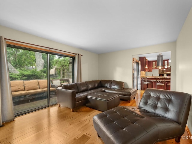780 Chisholm Trl, Roselle, IL 60172 - living room featuring light wood-style floors