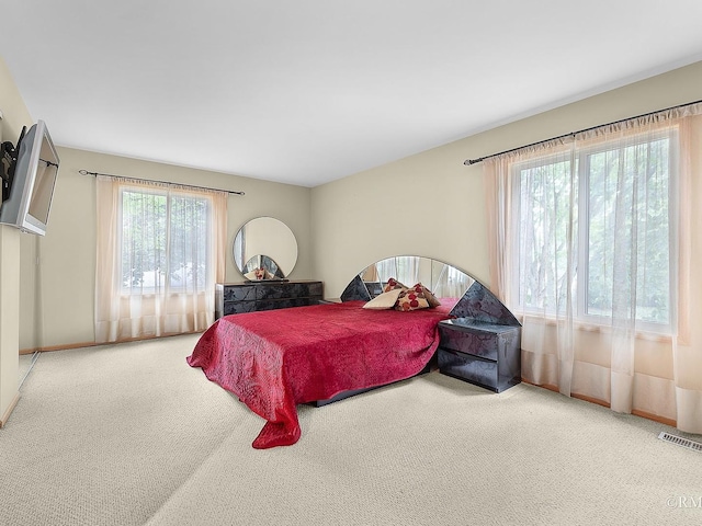 780 Chisholm Trl, Roselle, IL 60172 - bedroom with carpet flooring