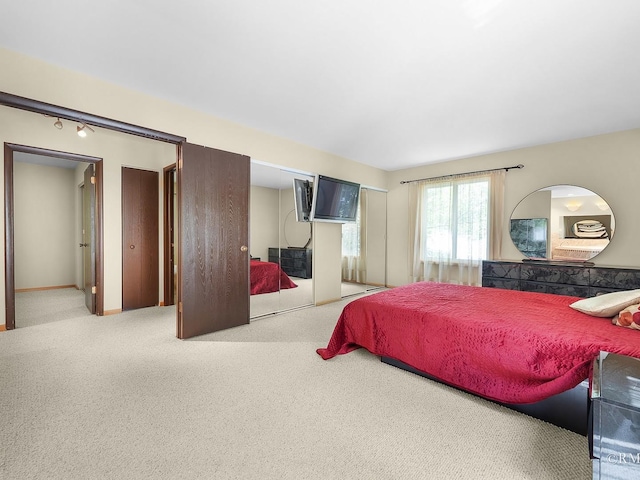 780 Chisholm Trl, Roselle, IL 60172 - view of carpeted bedroom