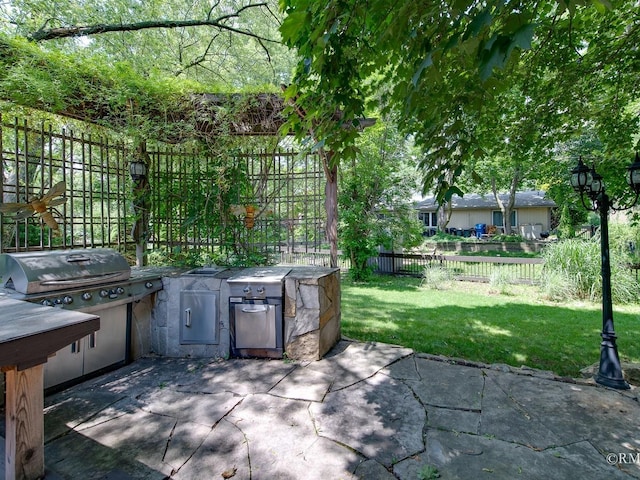 780 Chisholm Trl, Roselle, IL 60172 - fenced backyard with area for grilling and a patio area