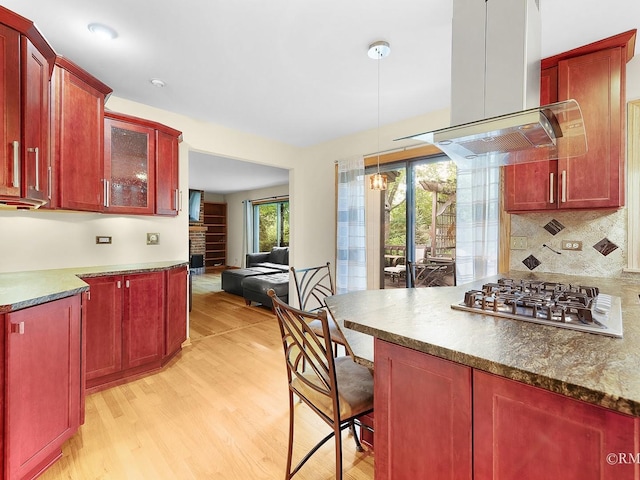 780 Chisholm Trl, Roselle, IL 60172 - kitchen with island range hood, dark brown cabinets, light wood-type flooring, decorative backsplash, and glass insert cabinets