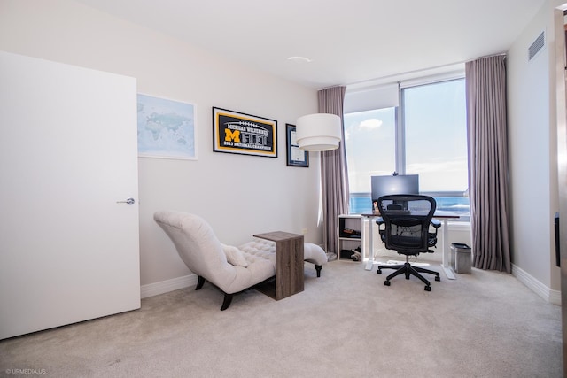 600 N Lake Shore Dr Unit 1905, Chicago, IL 60611 - office space with carpet and baseboards
