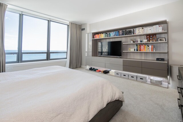 600 N Lake Shore Dr Unit 1905, Chicago, IL 60611 - view of carpeted bedroom