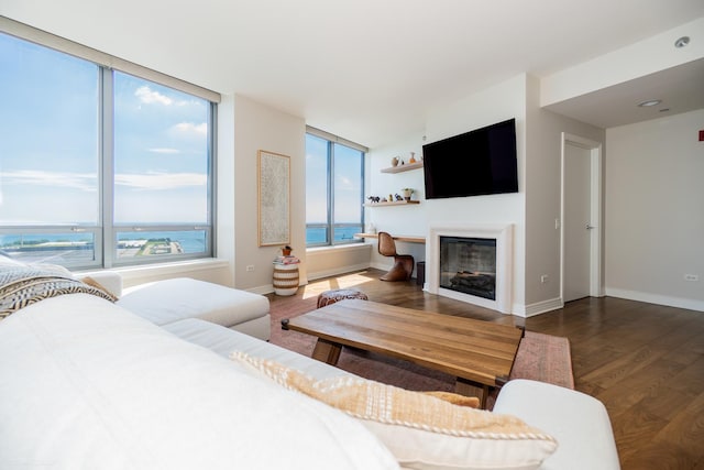 600 N Lake Shore Dr Unit 1905, Chicago, IL 60611 - living room featuring wood finished floors and a glass covered fireplace