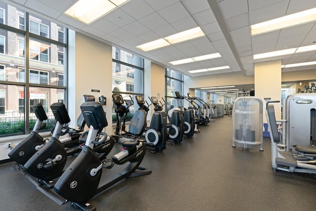 600 N Lake Shore Dr Unit 1905, Chicago, IL 60611 - gym with healthy amount of natural light and floor to ceiling windows