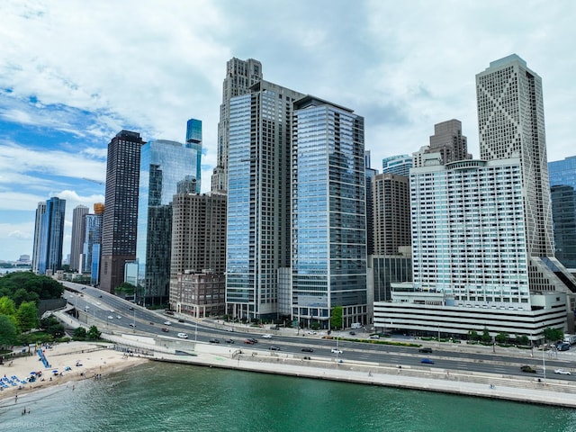 600 N Lake Shore Dr Unit 1905, Chicago, IL 60611 - view of city skyline with a large body of water