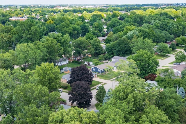 309 Victor Pl, Normal, IL 61761 - photo 44