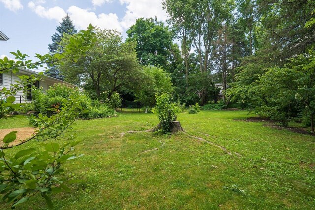 309 Victor Pl, Normal, IL 61761 - photo 8