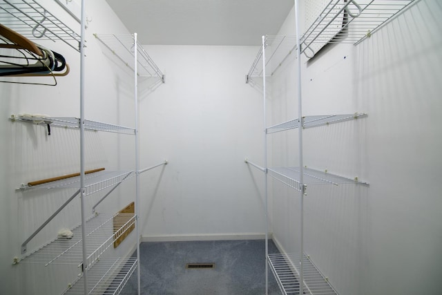 1642 Waterberry Ct, Bourbonnais, IL 60914 - spacious closet featuring carpet floors