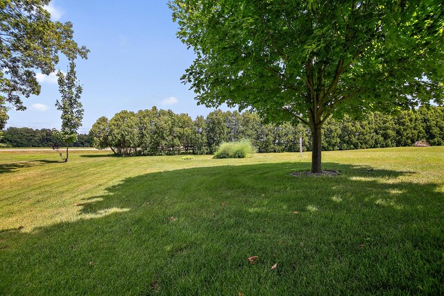 1642 Waterberry Ct, Bourbonnais, IL 60914 - view of grassy yard featuring view of scattered trees