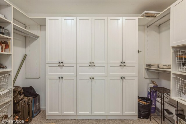 260 W Lynn Dr Unit 7-5B, Palatine, IL 60067 - view of spacious closet
