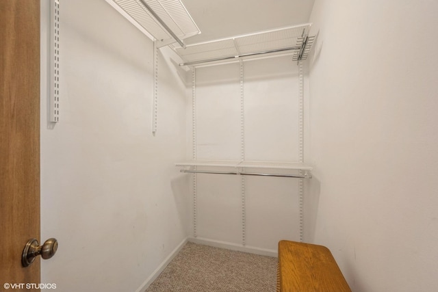 260 W Lynn Dr Unit 7-5B, Palatine, IL 60067 - walk in closet featuring carpet floors