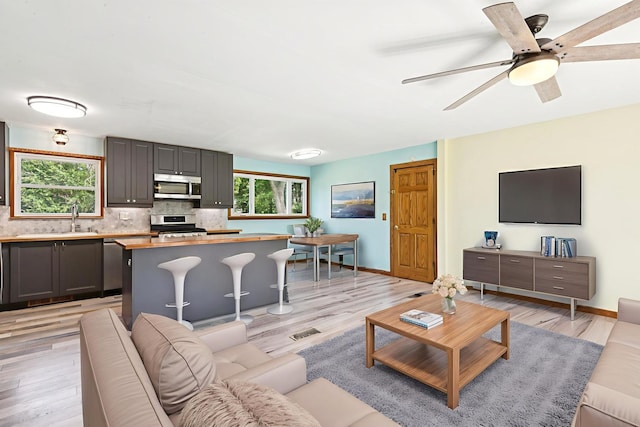 1020 Cassie Dr, Joliet, IL 60435 - living room featuring light wood finished floors and a ceiling fan