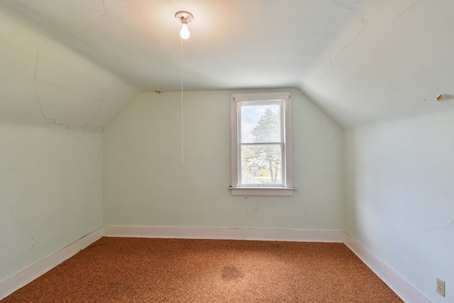 222 W S St, Dwight, IL 60420 - additional living space with vaulted ceiling and carpet floors