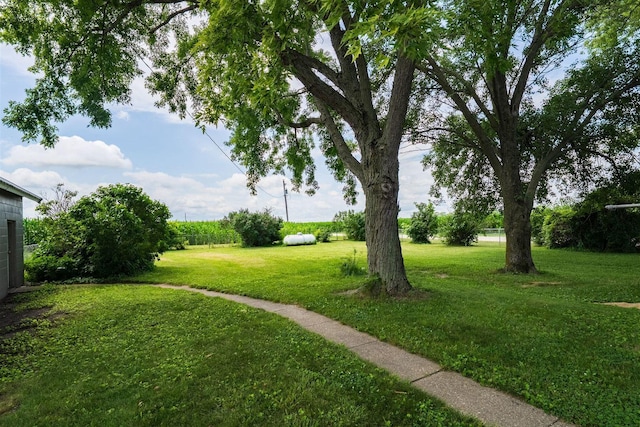 15313 Furrow Rd, Pekin, IL 61554 - view of green lawn