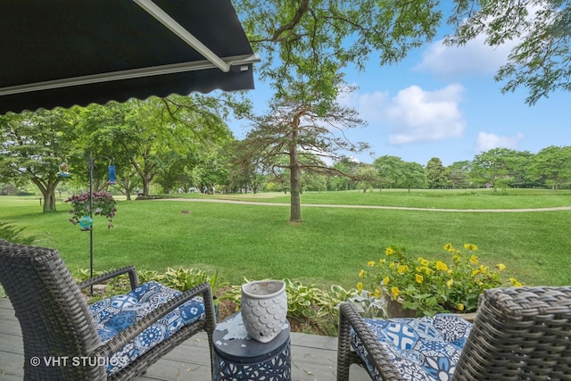 436 Shoreline Rd, Lake Barrington, IL 60010 - view of green lawn